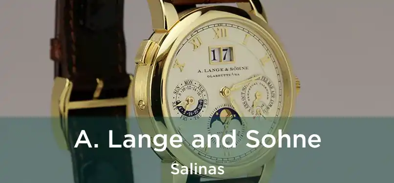 A. Lange and Sohne Salinas