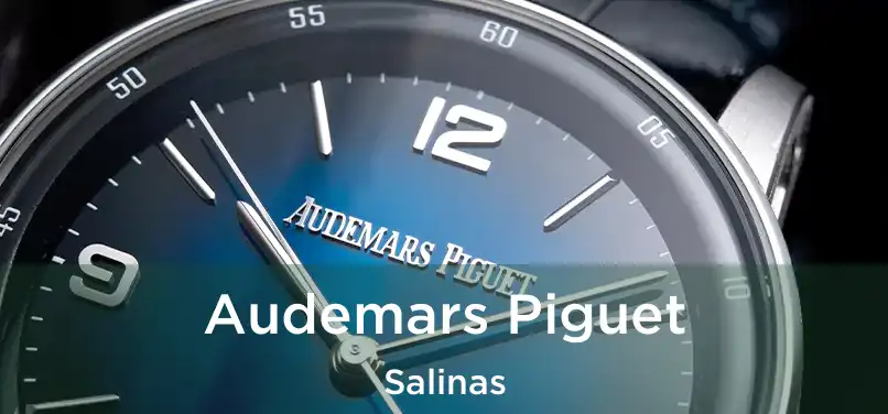  Audemars Piguet Salinas