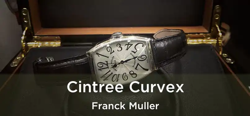  Cintree Curvex Franck Muller