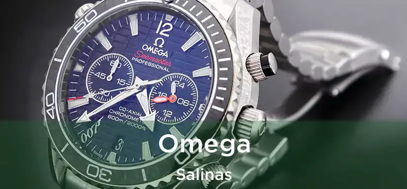  Omega Salinas