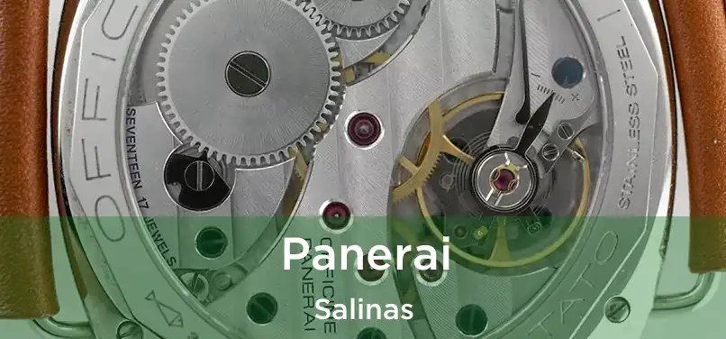  Panerai Salinas