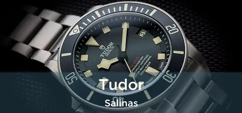  Tudor Salinas