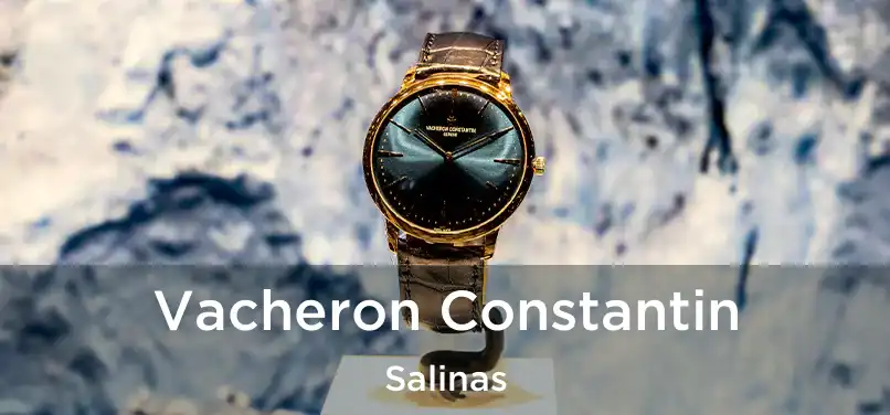  Vacheron Constantin Salinas
