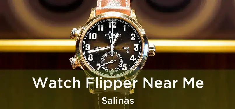  Watch Flipper Near Me Salinas
