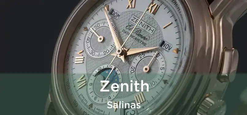  Zenith Salinas